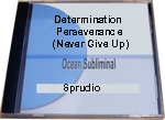 Determination - Perseverance (Never Give Up)