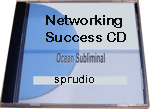 Networking Success CD