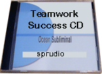 Teamwork Success CD