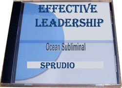 Effective Leadership Development Subliminal CD